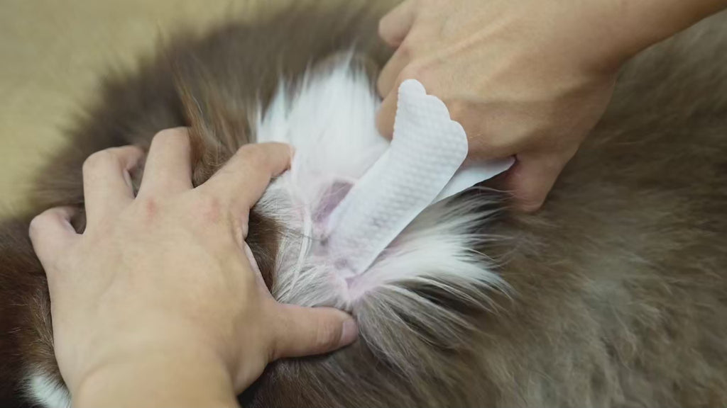 Pawora™ Pet Ear Cleaning Finger Wipes (50 PCS)