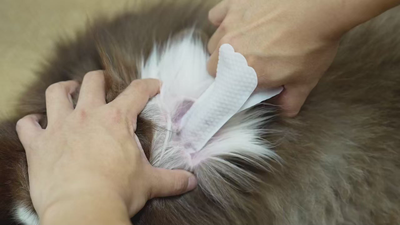 Pawora™ Pet Ear Cleaning Finger Wipes (50 PCS)
