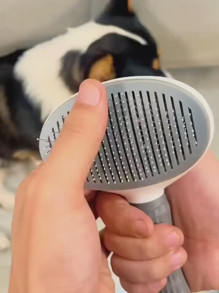 Pawora™ Self-Cleaning Pet Grooming Brush